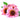 HERBAREGEN drops 50ml