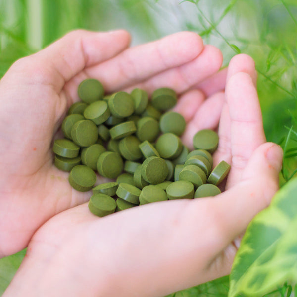 Chlorella a její účinky: Detoxikace, imunita a vitalita