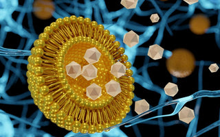 Jak vybrat kvalitní lipozomální vitamin C?