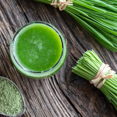 Premium GREEN BARLEY BIO