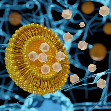 Neobotanics Liposomální Vitamin C Plus 60 kapslí