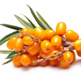 LIPOZOMÁLNÍ VITAMIN C+ rakytník