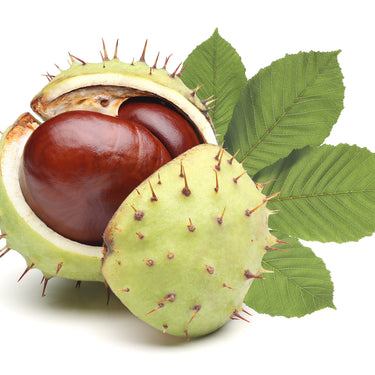 Neobotanics Novarix dietary supplement with bioflavonoids 60 capsules